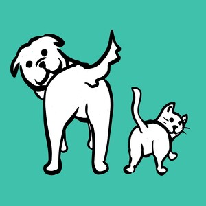 Team Page: Wagging Warriors